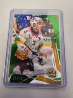 25/26 Sportzoo, National L., For. Green/30, Honka Ajoie