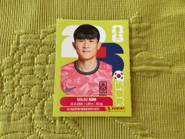 Panini WM 26 Sticker