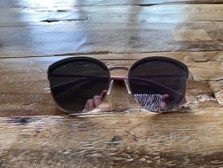 Sonnenbrille, Polaroid