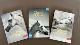 Lot 3 livres jeunesse - Trilogie "Cheval d'Orage"