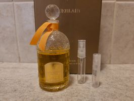 Mon précieux Nectar de Guerlain (cf. memo sweet safanad)