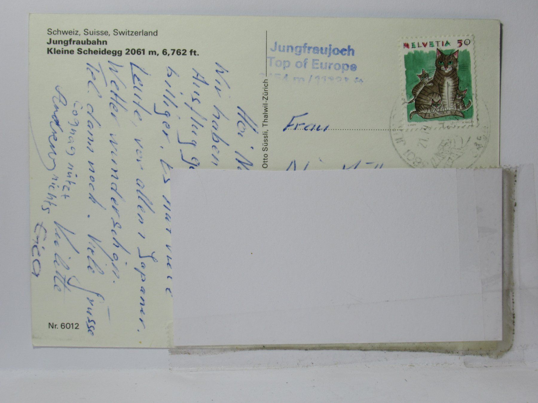 Ansichtskarten: Kleine Scheidegg ,  Jungfraubahn , Hotel – Gebraucht aus Grenchen von Bluemchen1900 2