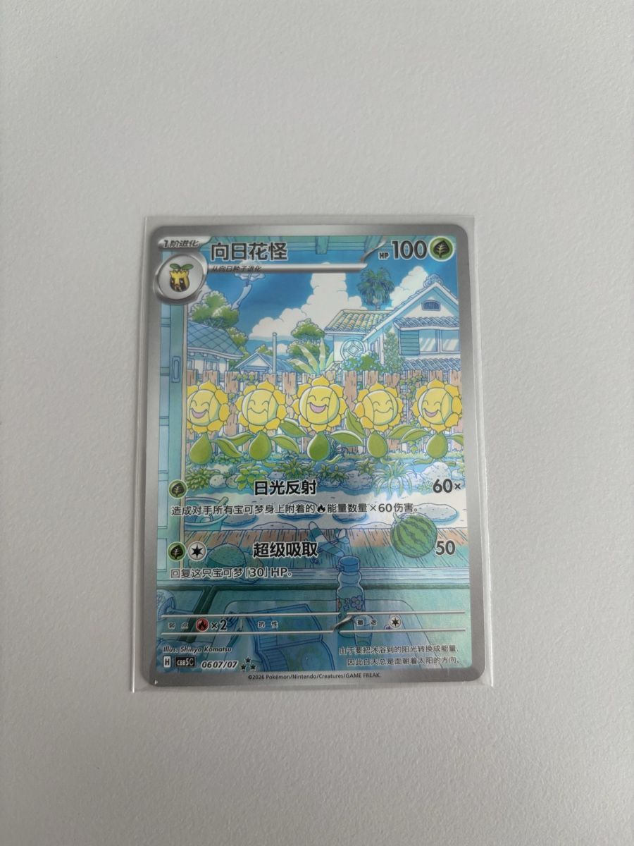 Pokémon Cartes à collectionner: Pokemon chinesisch Karte, selten – D'occasion à Niederglatt ZH par Nico325