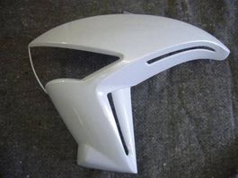 Kawasaki ER-6n / 2009 Kühlerabdeckung li