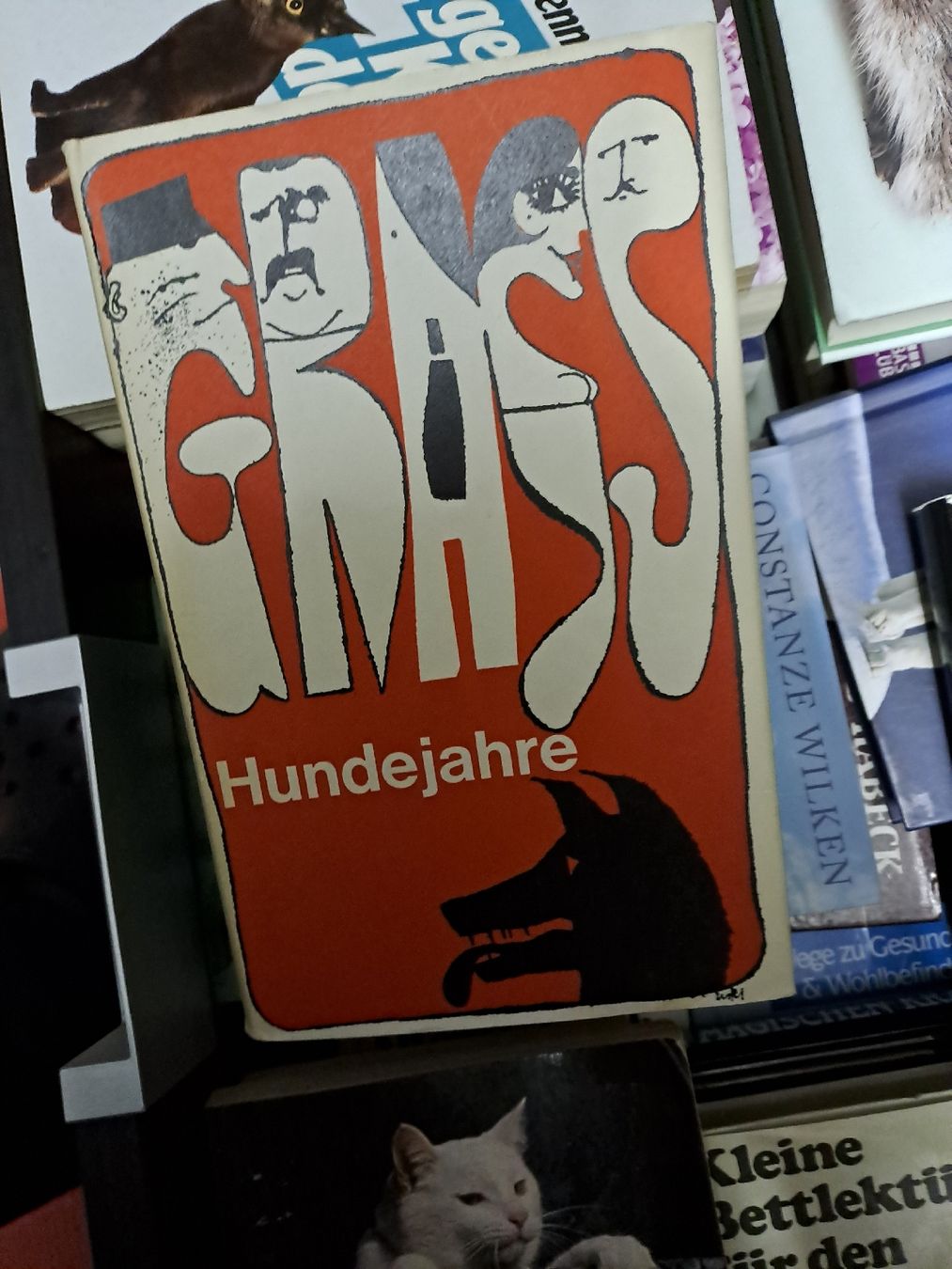 Libri: Grass Hundejahre Kultbuch 70er – Usato da Zürich venduto da Schoebi19 1