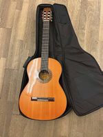 Vintage Gitarre 