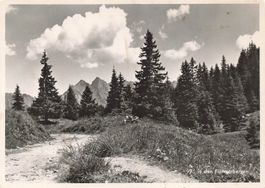 Flums (SG) – Weg in den Flumserbergen G