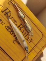 Wobbler Live Target und No Name