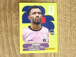 Panini FIFA World Cup 2026 Sticker VOZINHA CPV 2