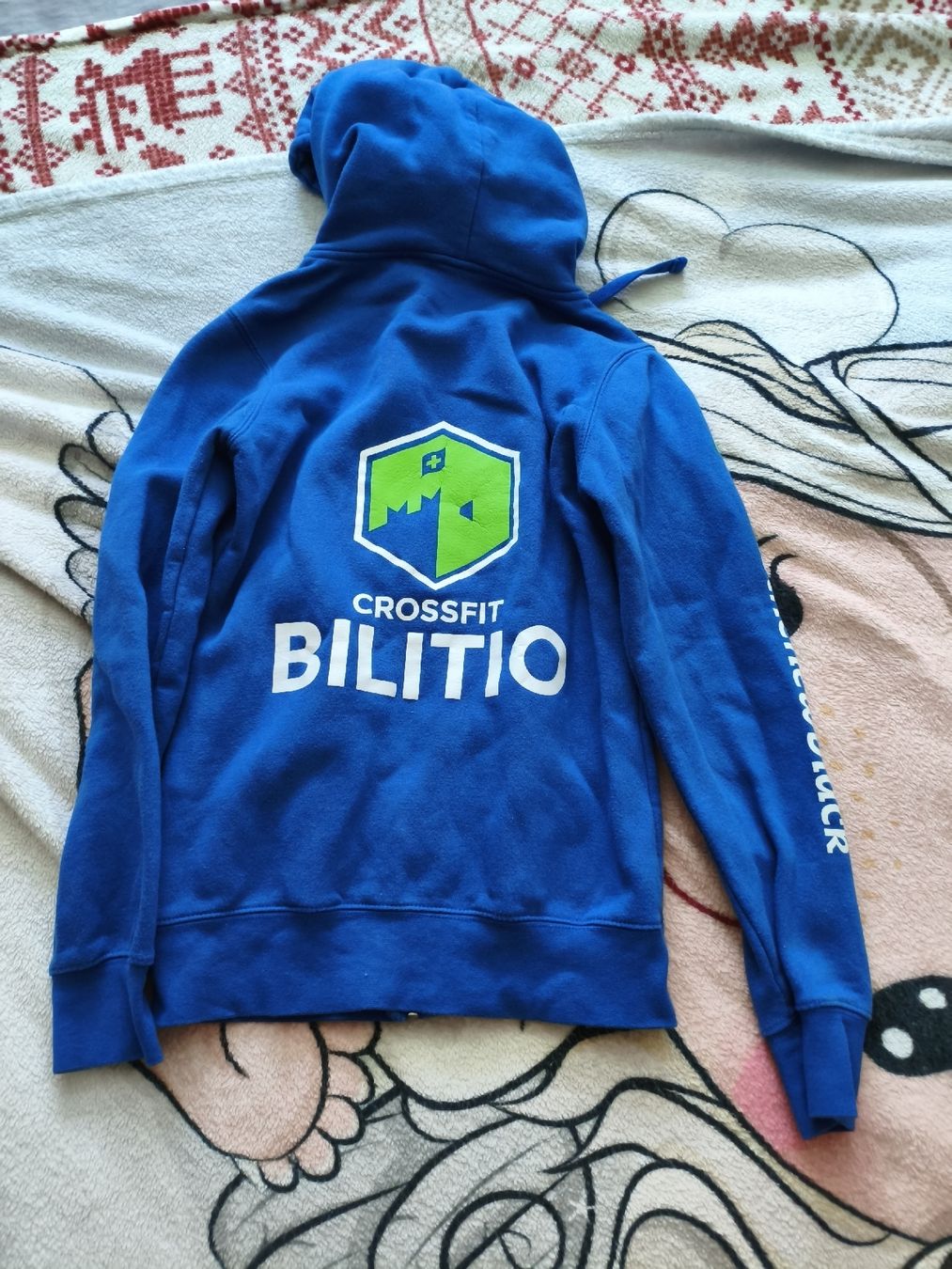 Pulls & Sweat-shirts: Felpa con cappuccio xs – D'occasion à Bioggio par OresteIronix 2