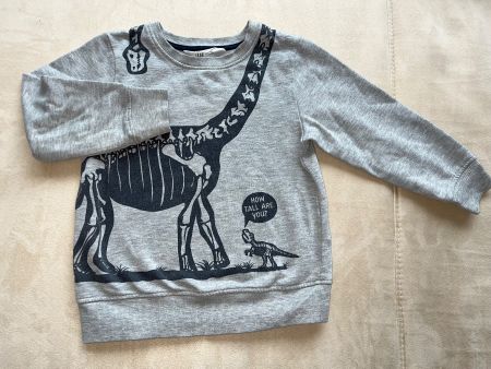Pulli H&M Gr. 110-116