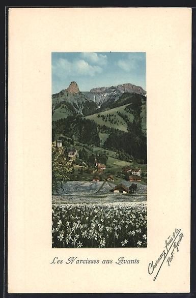 Cartoline postali: AK Les Avants, Narzissenfeld im Ort – Usato da Berlin venduto da bartko-reher