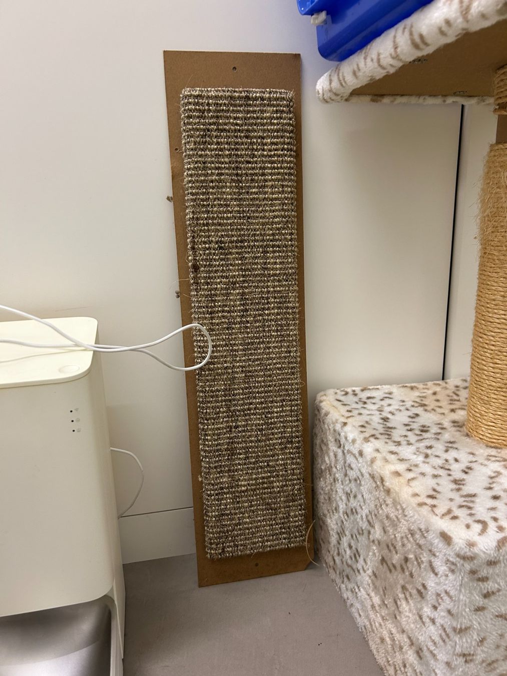 Tiragraffi: Verschiedene Katzenartikel – Usato da Horn venduto da Mada72 6