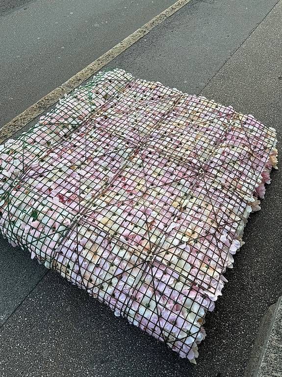Toutes les décorations: Blumenwand  – D'occasion à Erstfeld par gru_8fcb 3