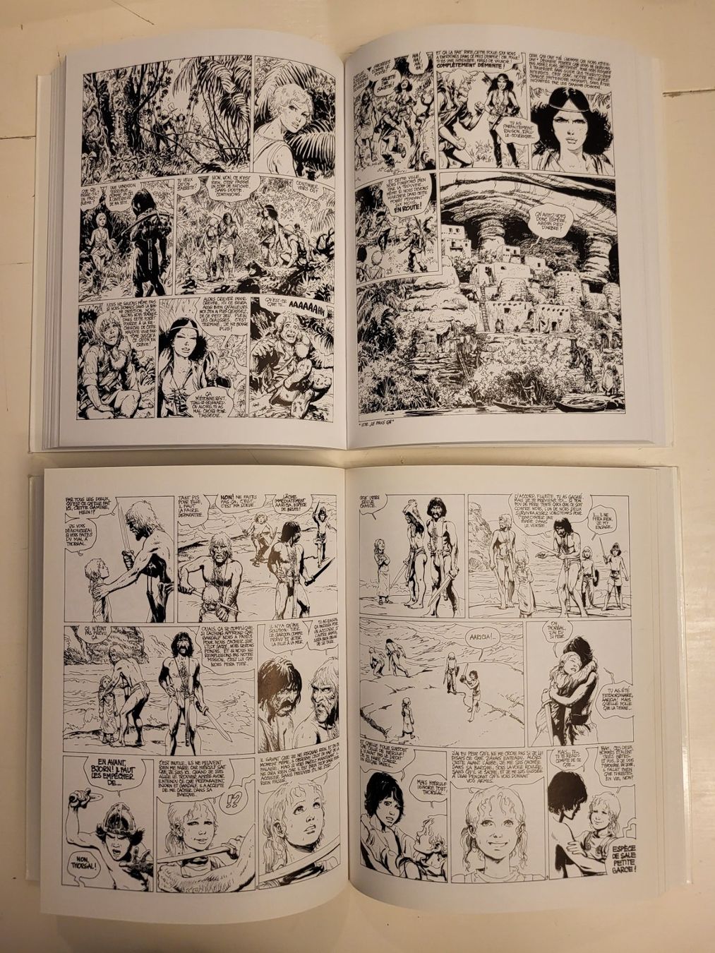 Fumetti: BD Intégral Niffle Thorgal No 1 + 2 + 3 + 4 EO (TBE) – Usato da Palézieux-Village venduto da magic1980 3