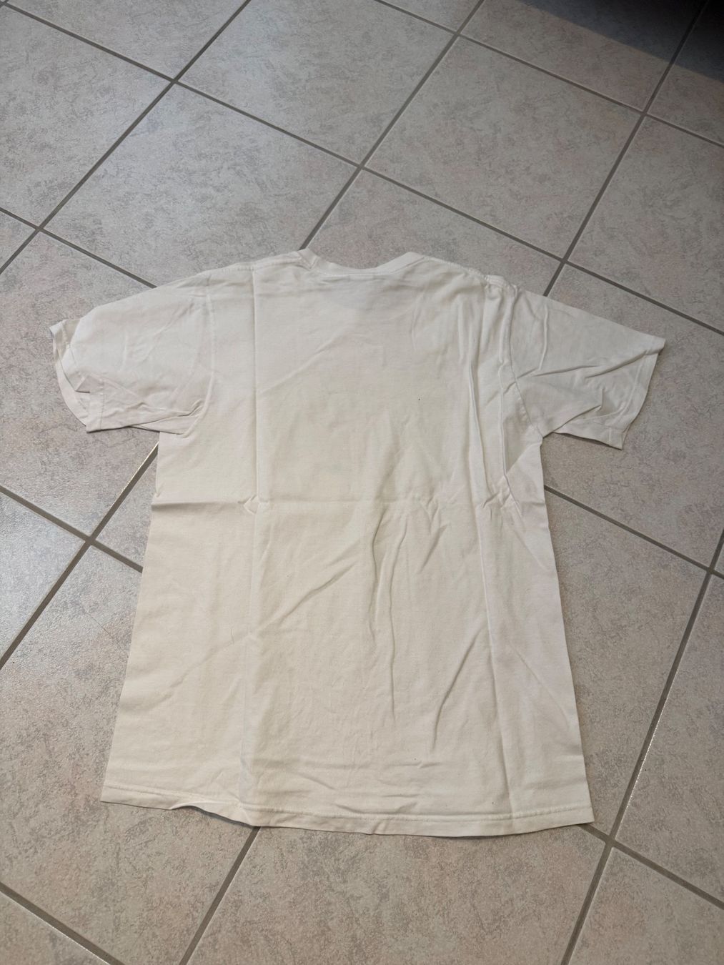 Stüssy T-shirt: Stüssy T shirt – Usato da Allschwil venduto da jar_rt8z 2