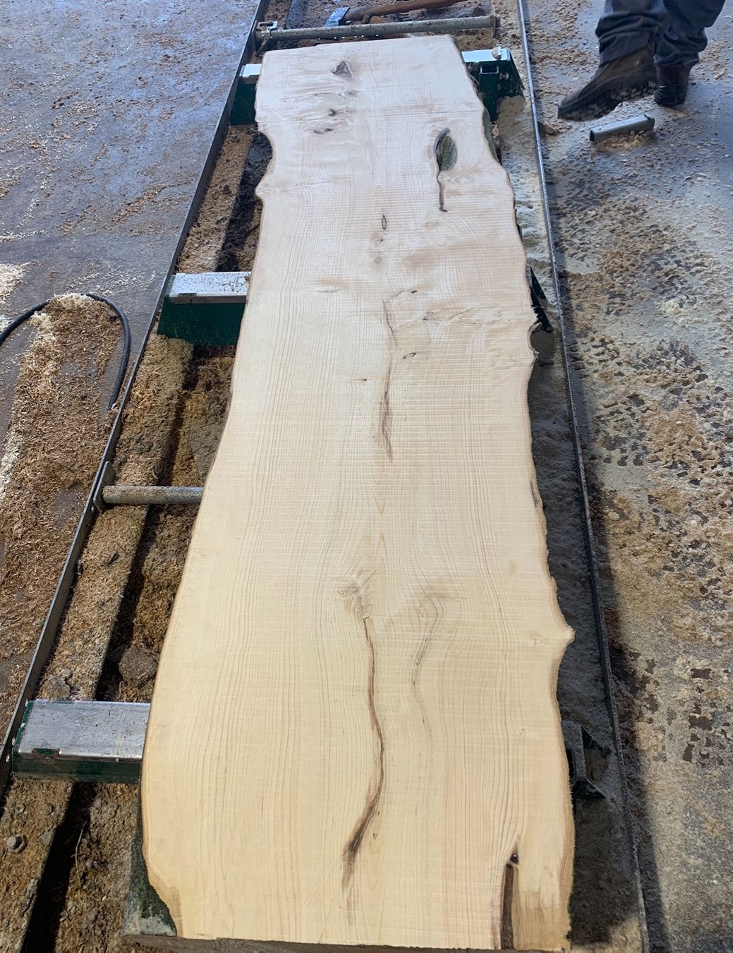 Articoli in legno: Bretter Hagenbuche – Nuovo (secondo la descrizione) da Holziken venduto da Timbergrizzly 1