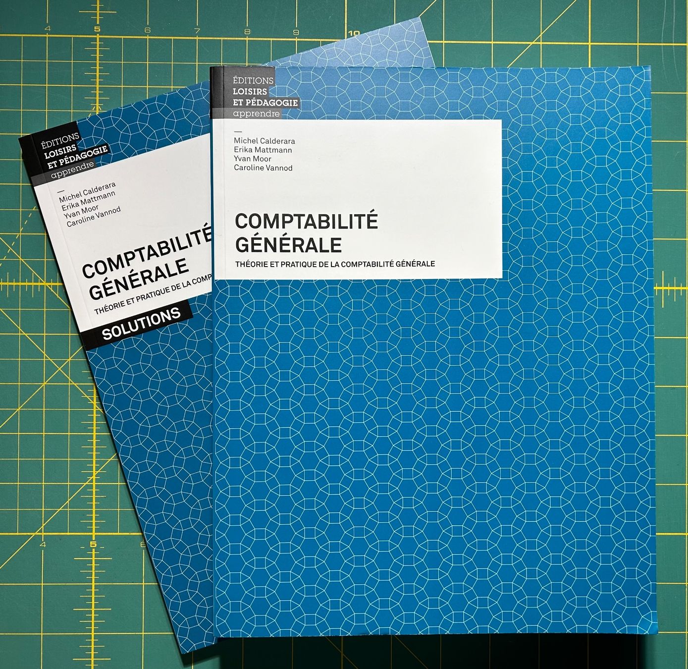 Libri: Lot de 2 livres de comptabilité générale – Nuovo (secondo la descrizione) da Bouveret venduto da sev_qj7l