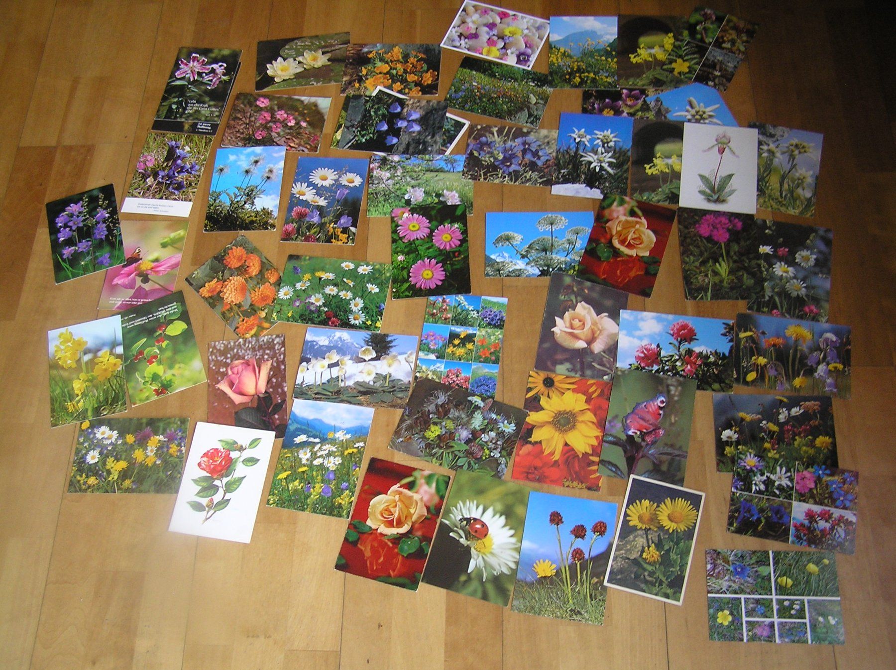 Ansichtskarten: 200 Schöne  Blumenkarten – Gebraucht aus Lumbrein von made02 1