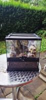 Exo Terra Terrarium 30cmx30cmx30cm
