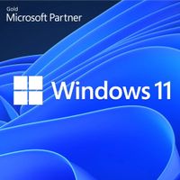 Windows 11 Pro