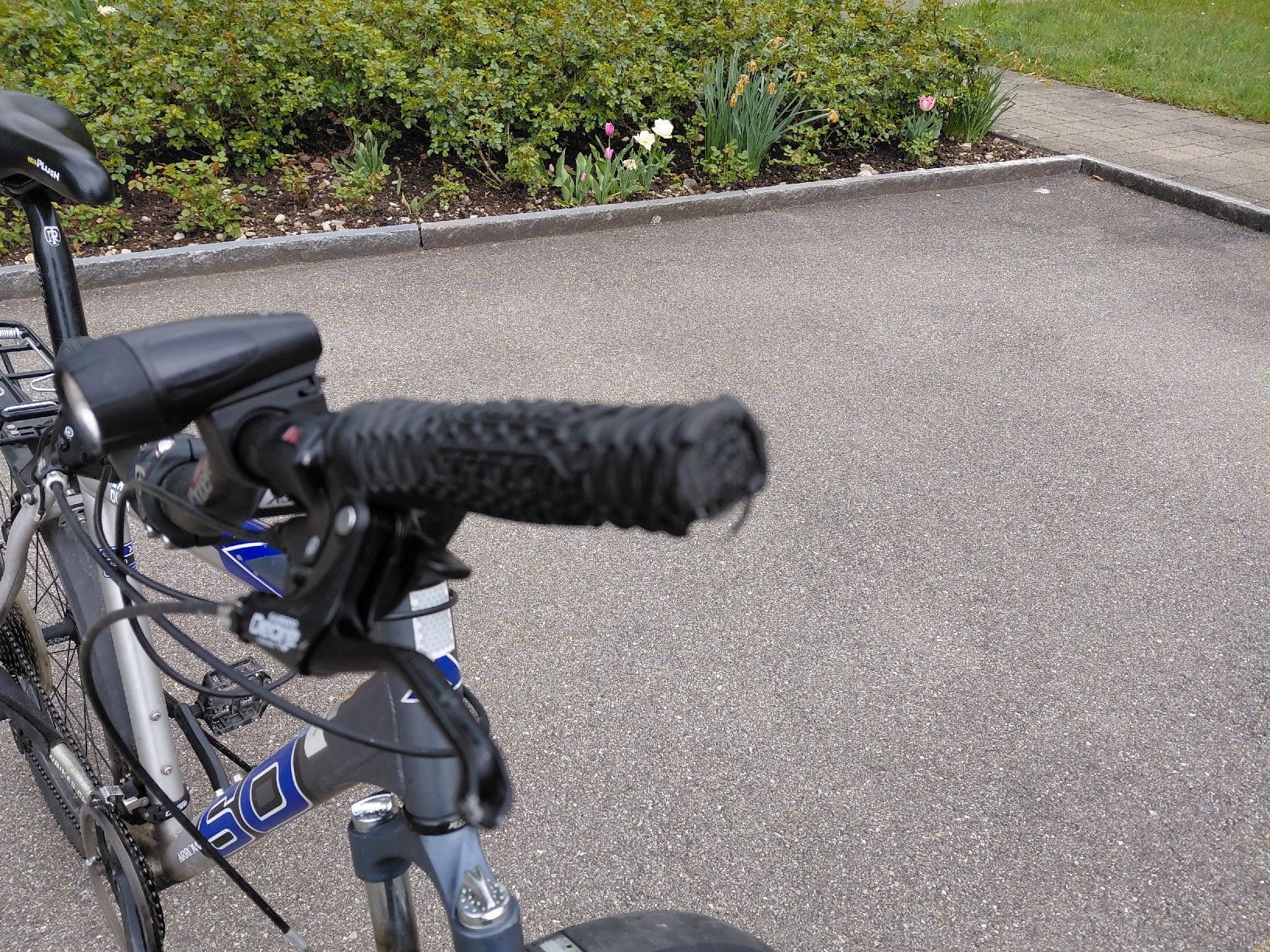 Biciclette: Velo mit Alurahmen – Usato da Hombrechtikon venduto da Hector6 3
