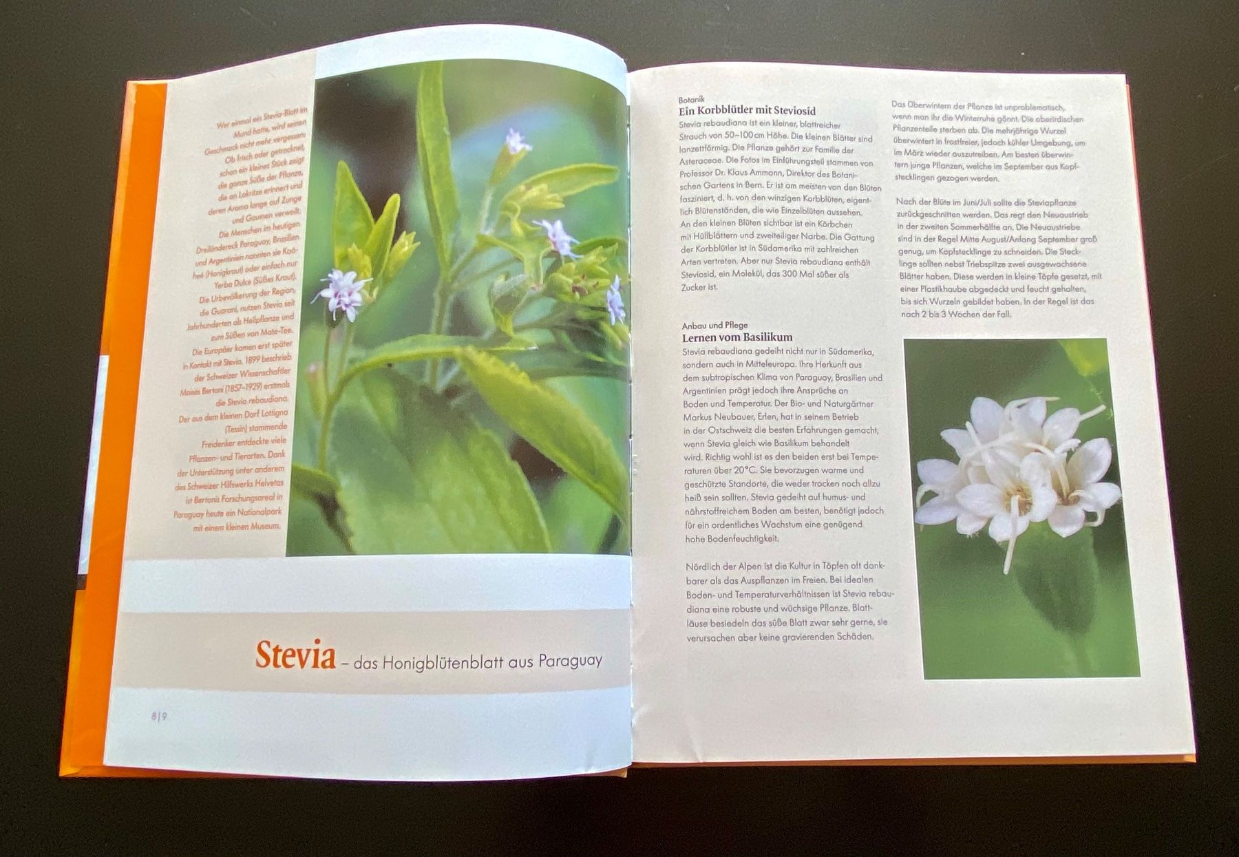 Libri: STEVIA. SÜSSEN MIT DEM WUNDERKRAUT – Usato da Nussbaumen AG venduto da schuba2000 2