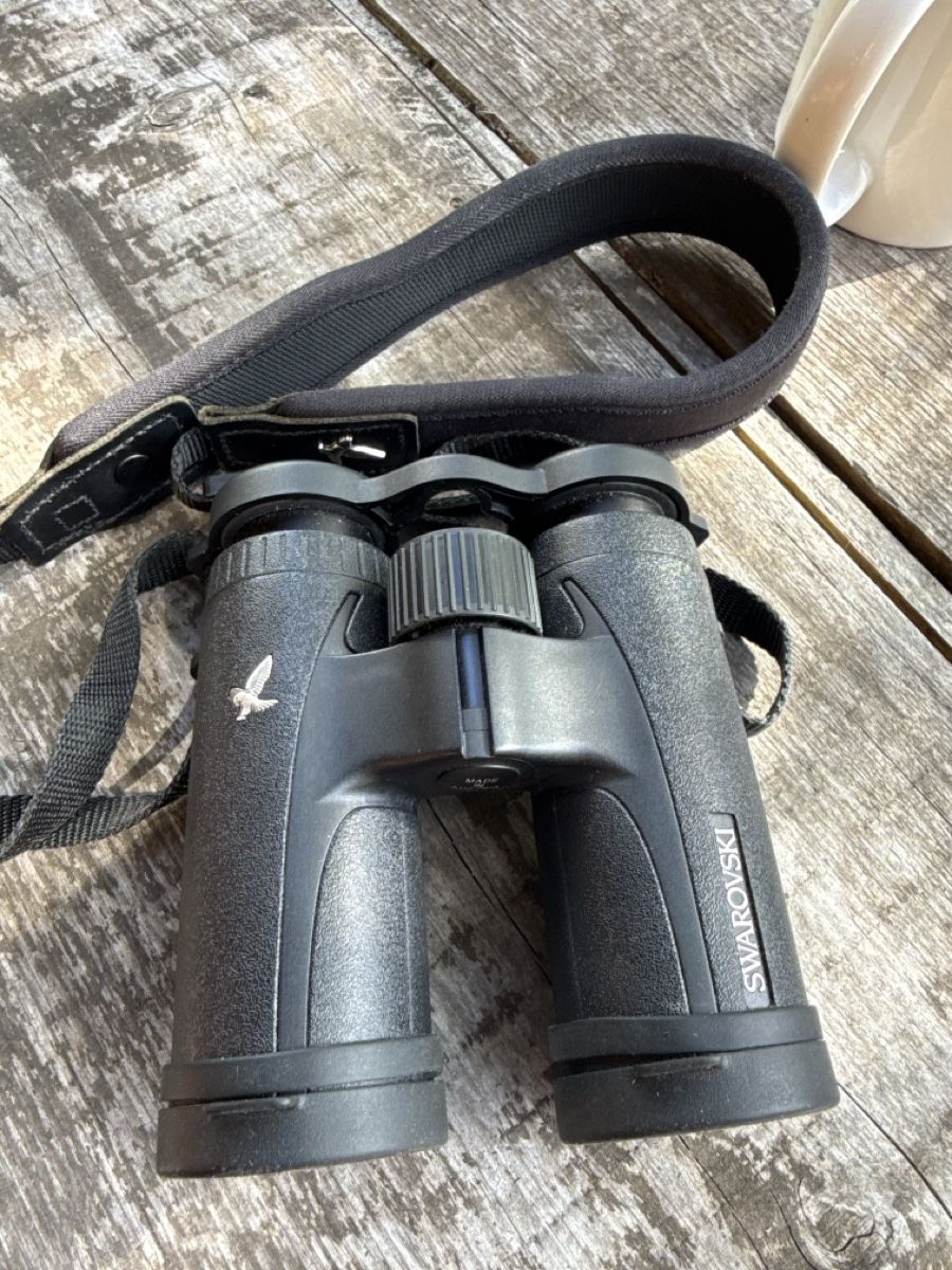 Swarovski Optik Feldstecher: Swarovski CL 10x32 – Gebraucht aus Schüpfen von Curon4 1