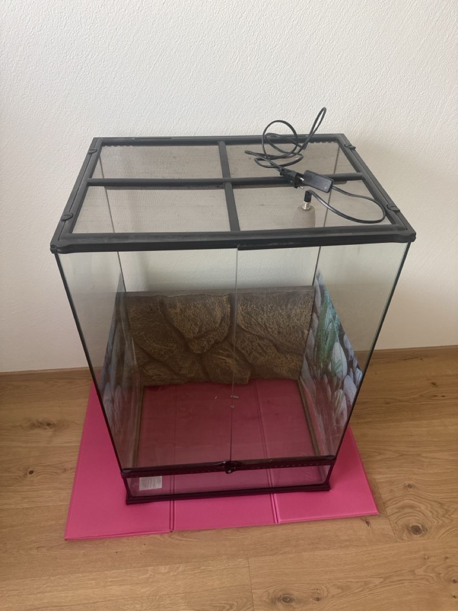 Terrario: Terrarium  – Usato da Chur venduto da Bisq7k 2
