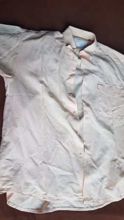 Chemise manche courte taille 39 marque Nettel Sthoth
