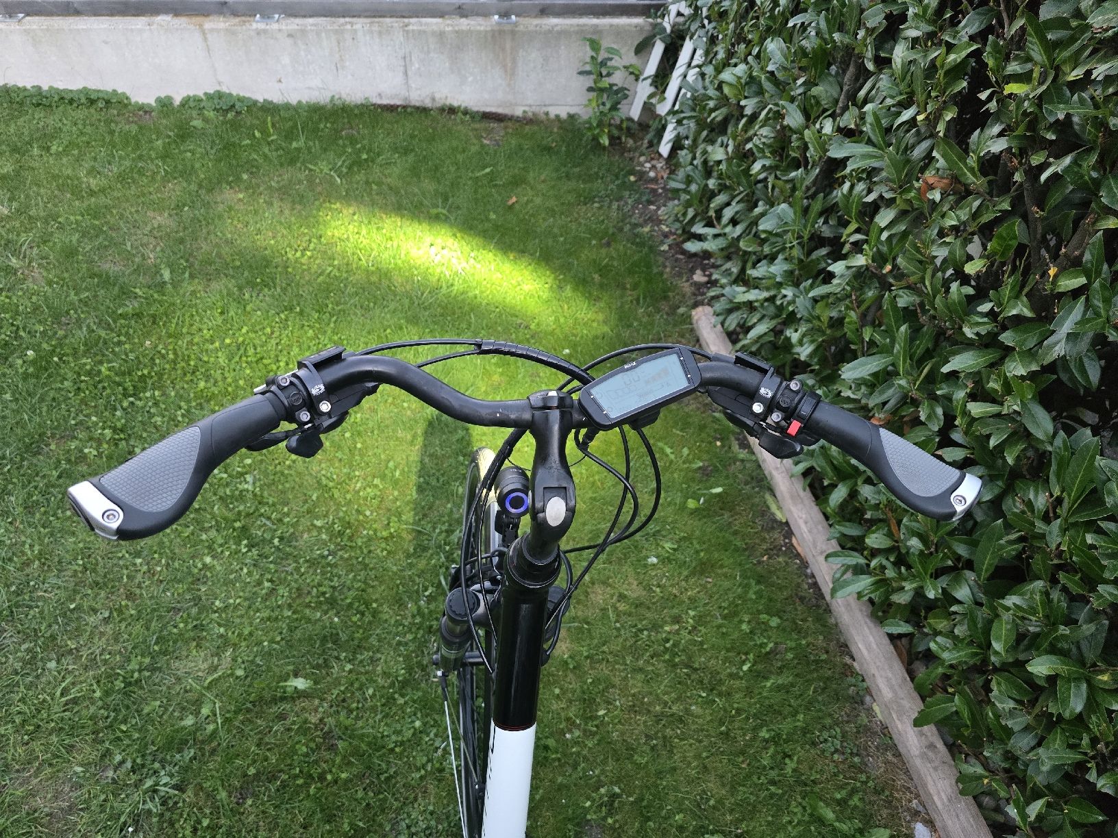 Villiger Biciclette: Villiger E-Bike 25 km/h – Usato da Kägiswil venduto da Qendro95 3