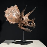 Triceratops Dinosaurier - Nachbildung Schädelskulptur