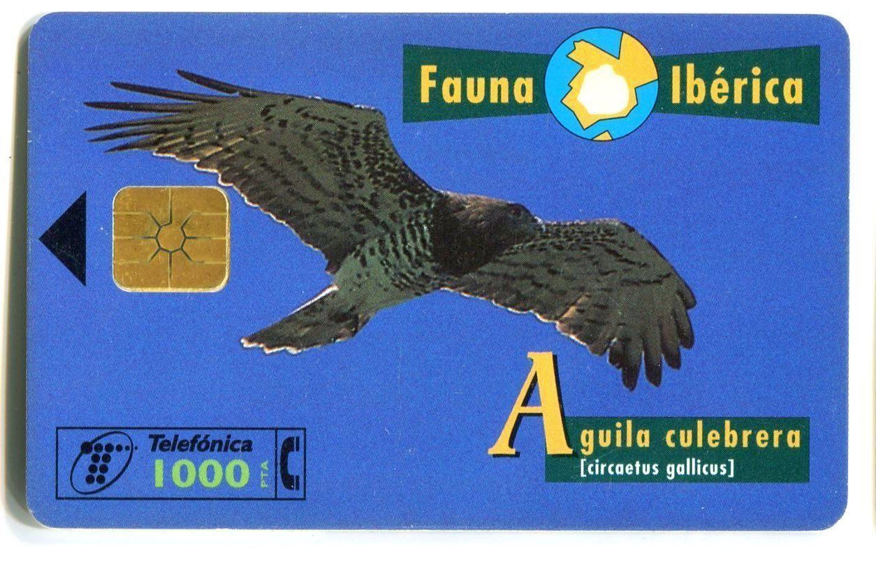 Schede telefoniche: Telefonkarte "Schlangenadler". Spanien. – Usato da Basel venduto da Butsch5