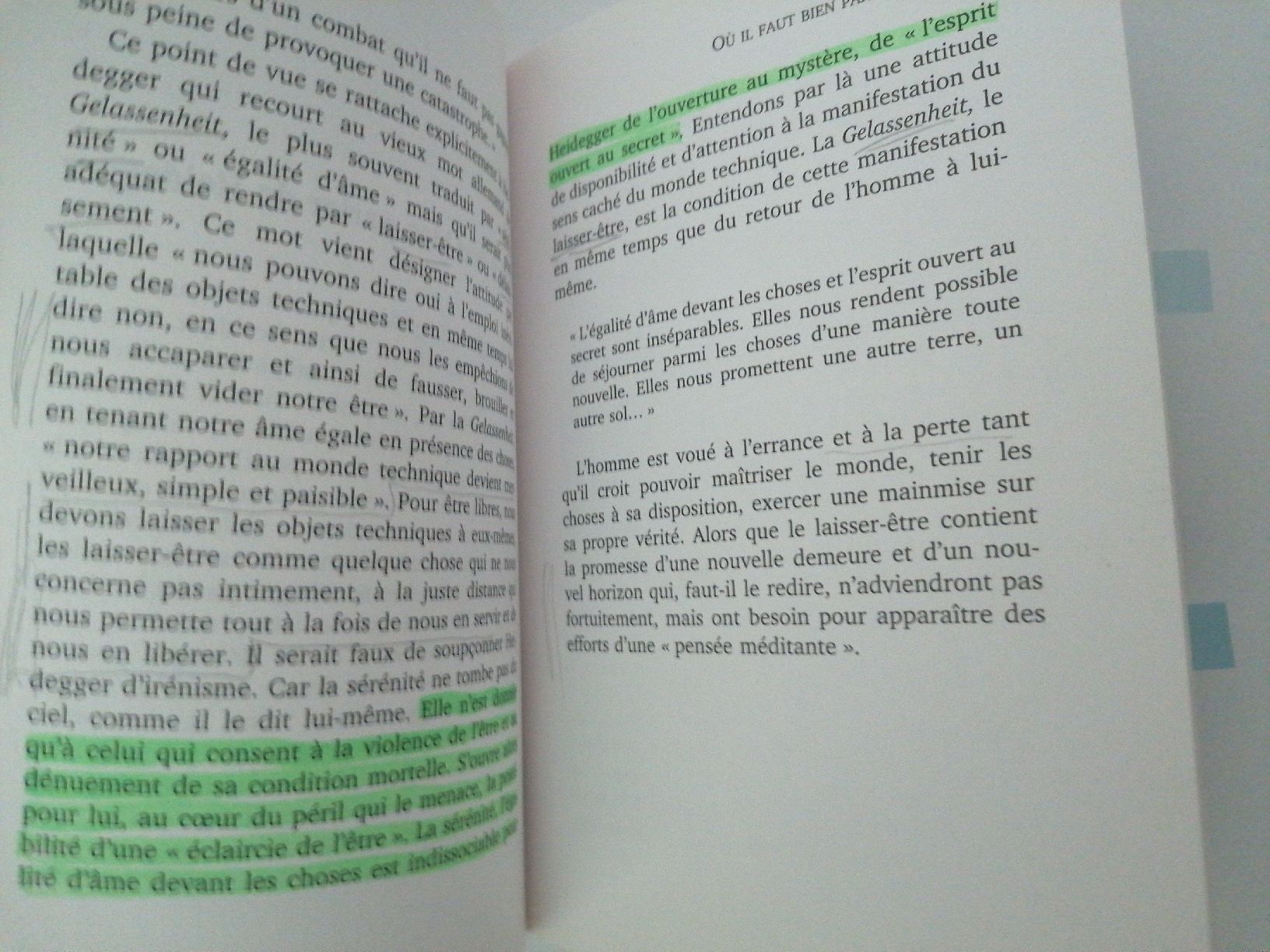 Libri: Faut-il lâcher prise? Robert Scholtus – Usato da Ecublens VD venduto da loi_dy6b 1