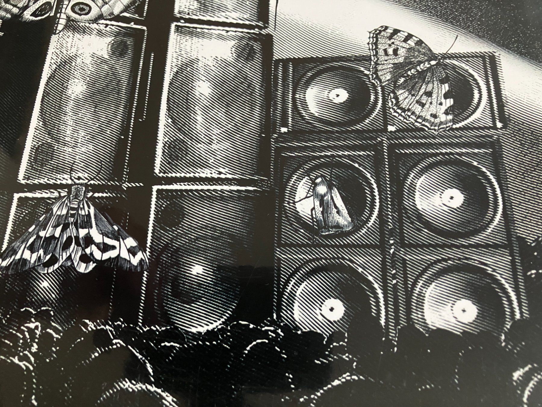 Schallplatten: Can – Neu und originalverpackt aus Aarwangen von Jukebox3 3
