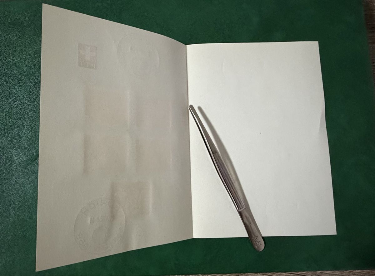 Tutti i francobolli: 3 feuilles PTT – Usato da Petit-Lancy venduto da Solcarm 5
