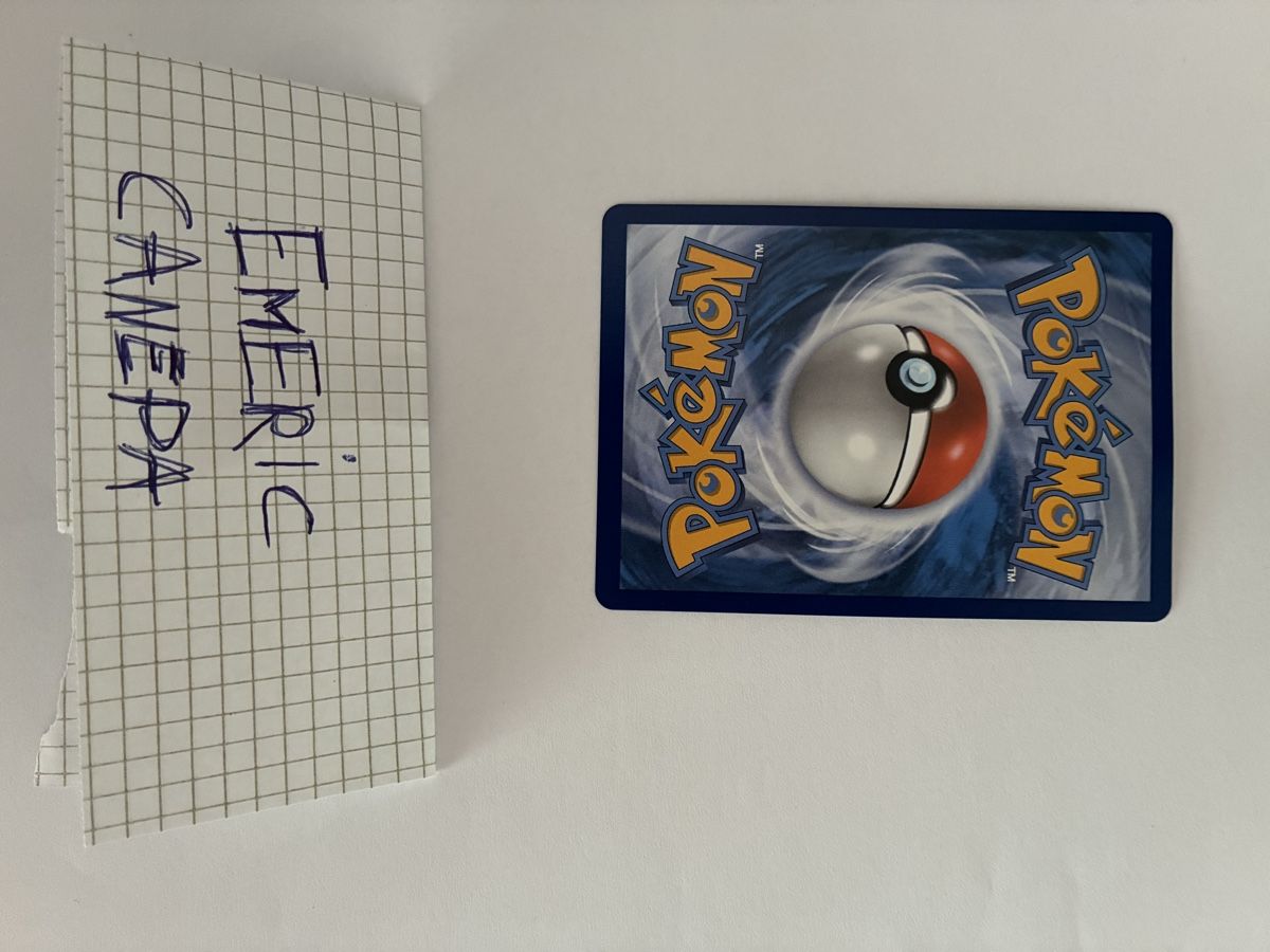 Pokémon Carte collezionabili: Pharamp 090 FR Pokemon – Nuovo (secondo la descrizione) da St-Aubin-Sauges venduto da Mdwischh98 1