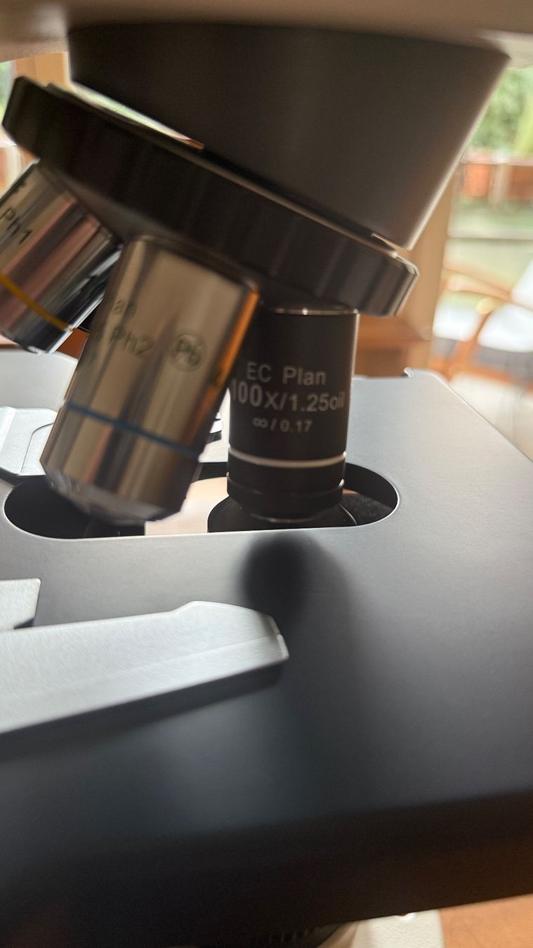 Microscopi: Mikroskop Motic BA-310E Elite Trinocular Microscope – Nuovo (secondo la descrizione) da Basel venduto da 7oclock 4