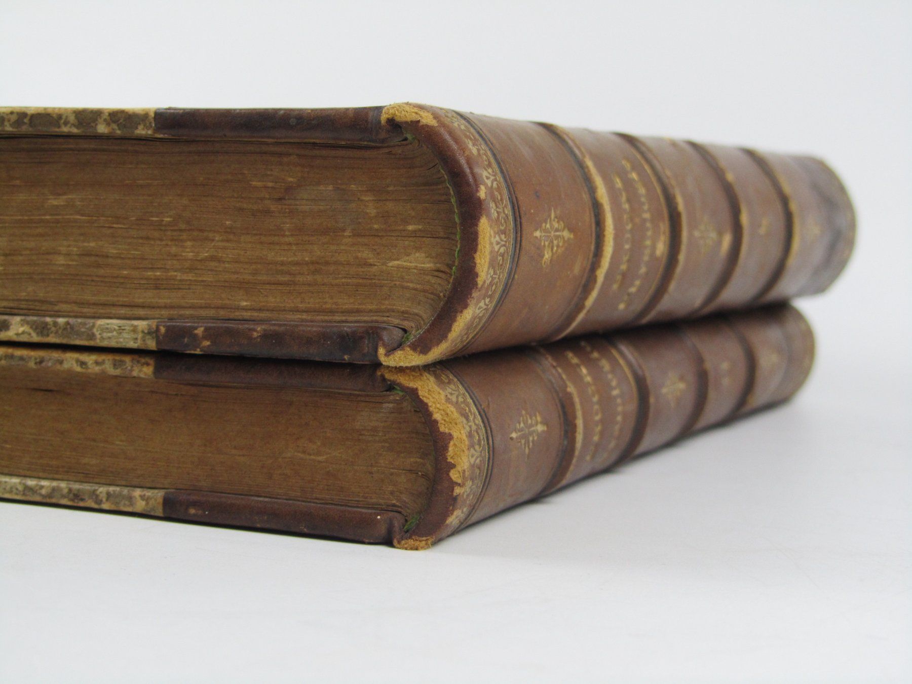 Libri: Vorlesungen über Physiologie 1&2 – Usato da Muhen venduto da Restwert_Muhen 2