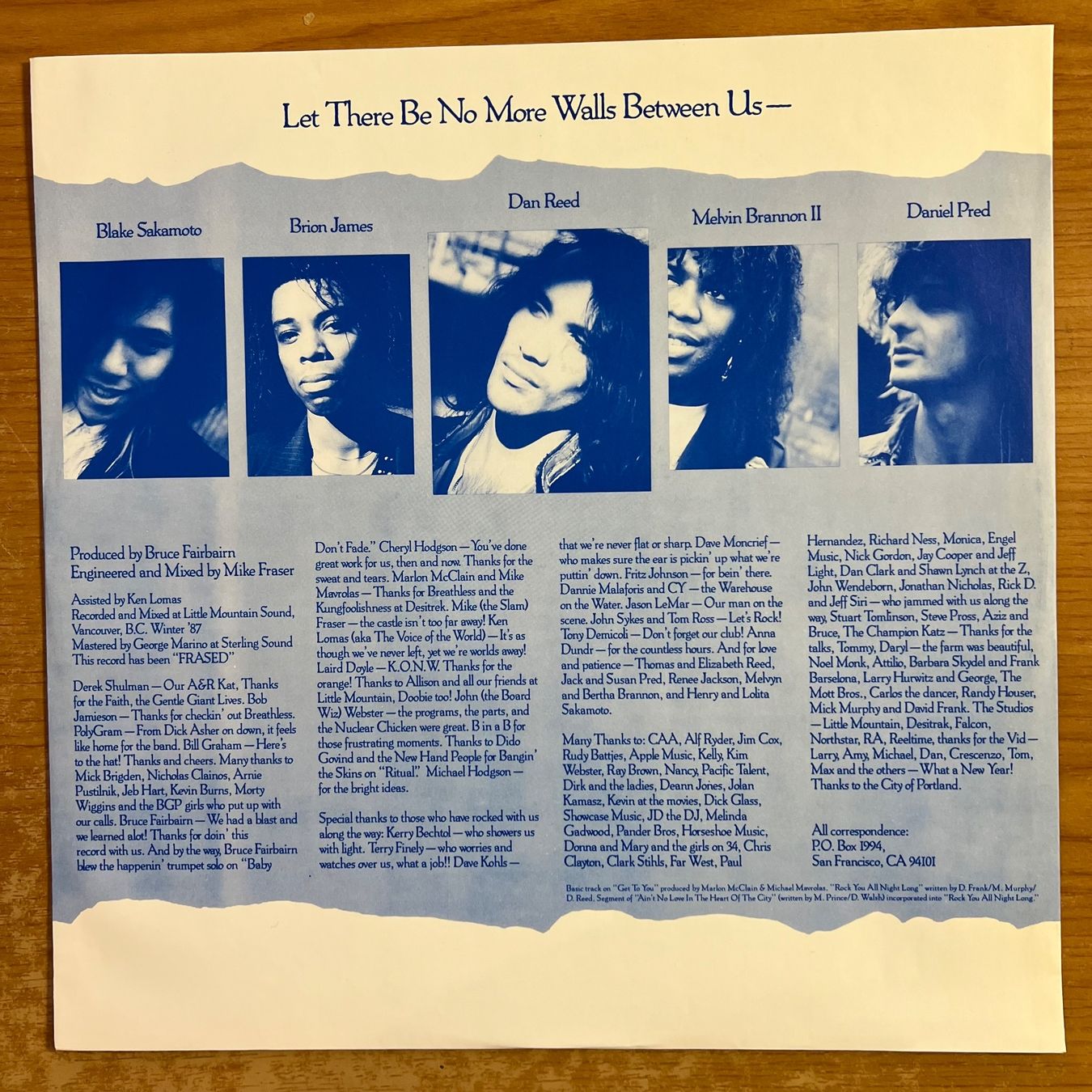 Vinyles: Dan Reed Network - Same / 1. NL-Press. 1988 - Very nice Copy – D'occasion à Gais par soundcave57 2
