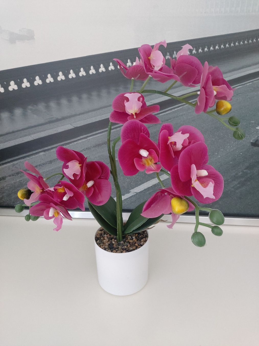 Alle Dekorationen: Orchidee – Neu (gemäss Beschreibung) aus Frenkendorf von Eona87