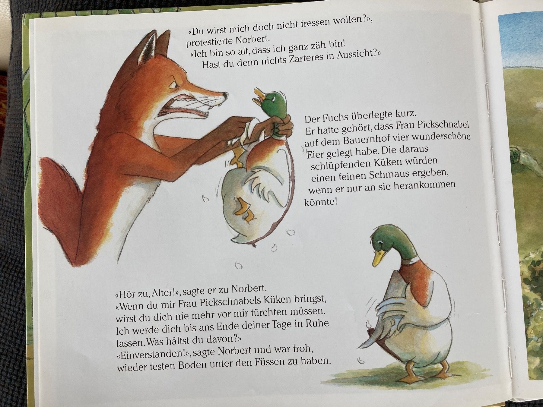 Bücher: Norbert und die verschwundenen Eier, Kinderbuch – Gebraucht aus Baden von Yoyo1 2