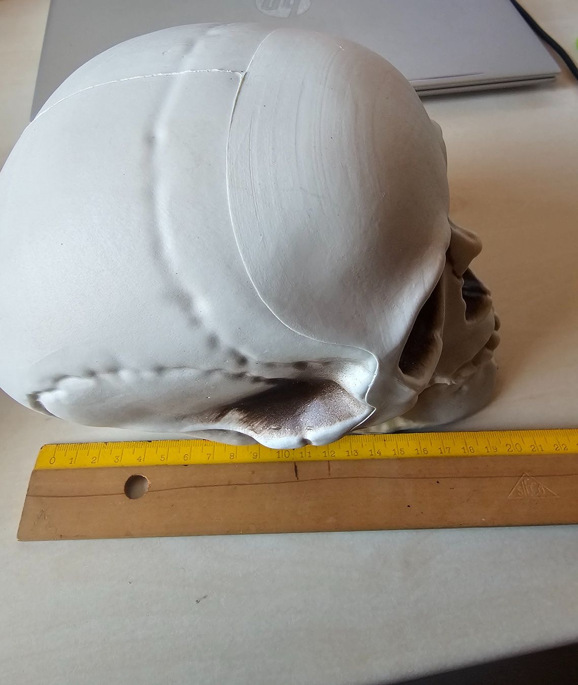 Tutte le decorazioni: Totenköpfe (leichtes Material) – Usato da Balterswil venduto da Dikdik1992 3