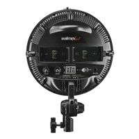 Walimex pro 23151 Niova 800 Bi Color mit Softbox und Tasche