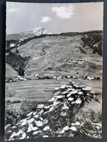 Donath, Fardün u. Mathon mit Piz Beverin / Fotokarte ca 1950