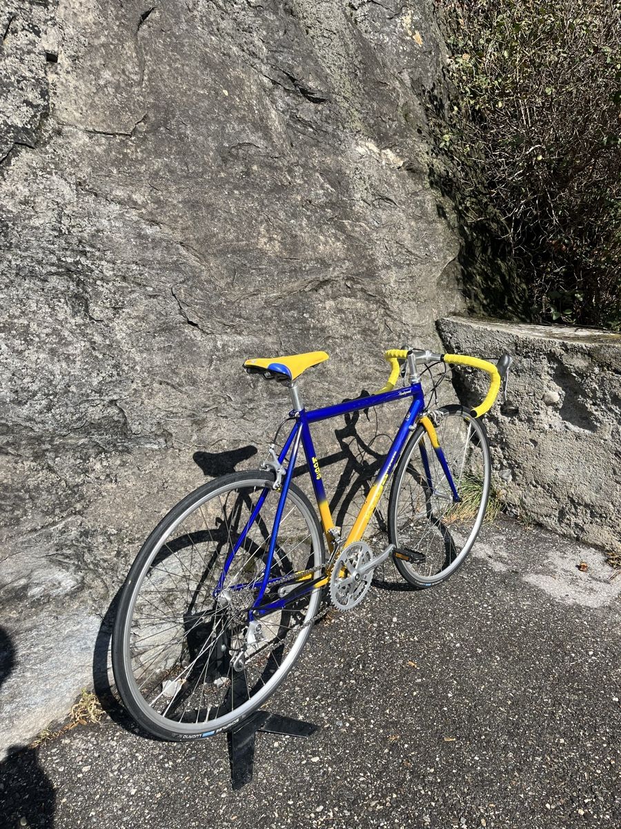Velos: Koga Miyata Roadspeed – Gebraucht aus Chur von Heinis-Steeldonkeys 4