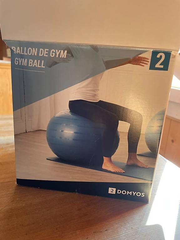 Palloni: Gymnastikball  – Usato da Wila venduto da glo_9ylc