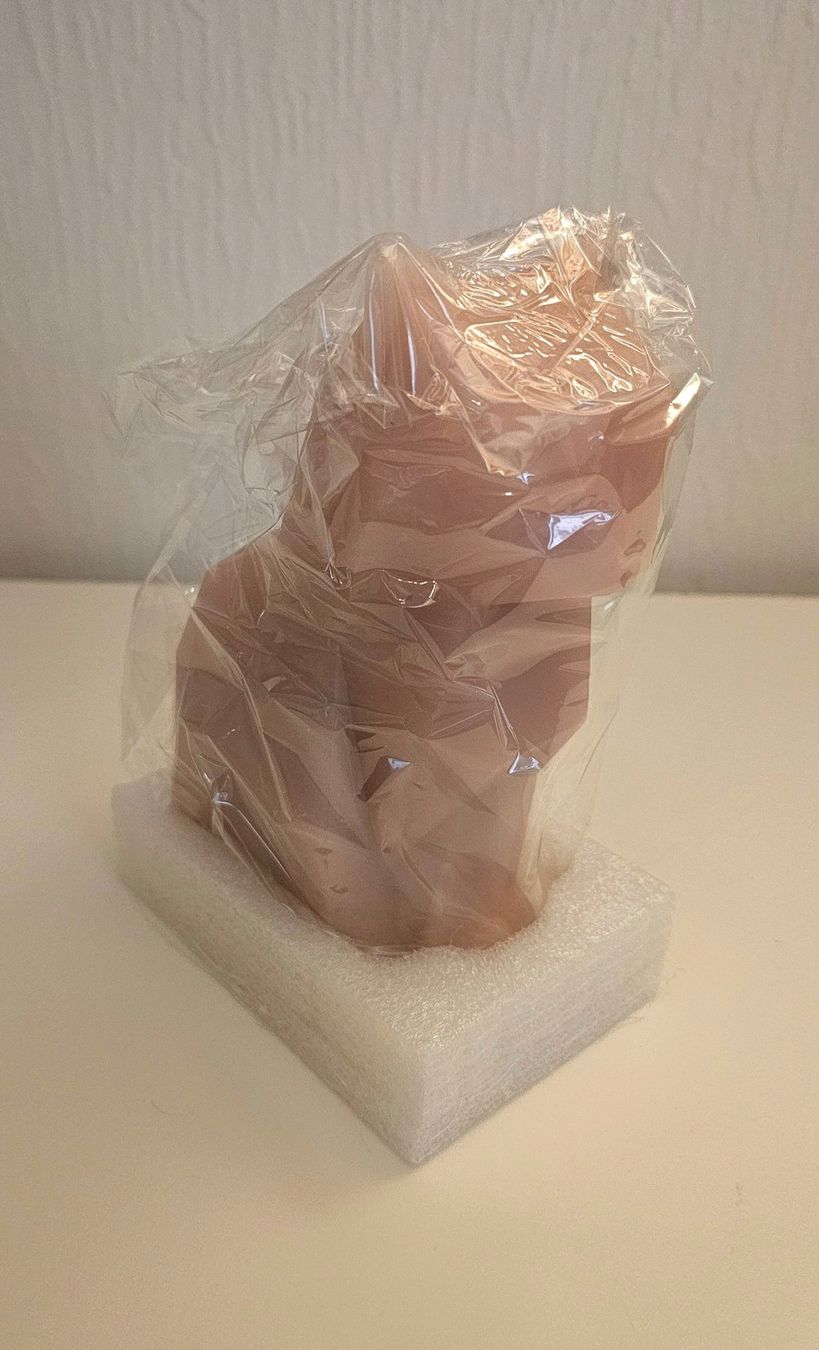 Kerzen: Bougie PyroPet originale - Chat squelette - NEUVE! – Neu und originalverpackt aus Nyon von Asheeka 3