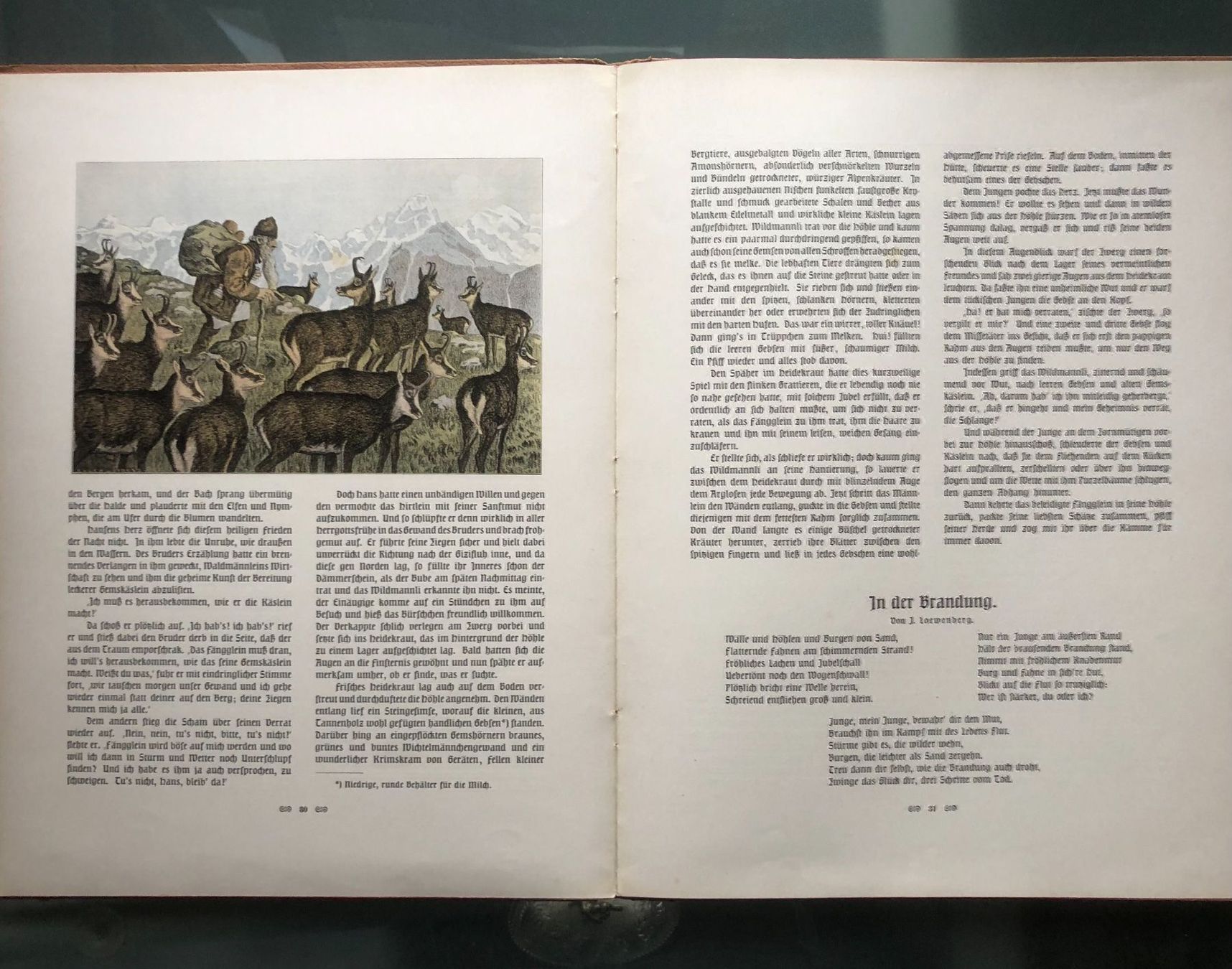 Libri: Buch Jugendland – Usato da Kirchleerau venduto da Dalmi220 3