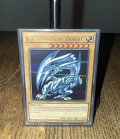 Blauäugiger Weisser Drache (DUSA)
